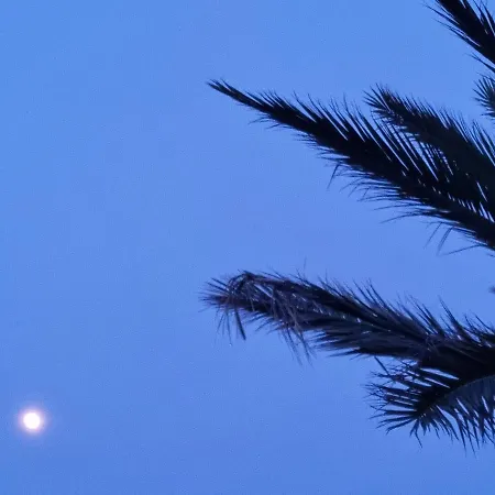 Alba Di Luna *